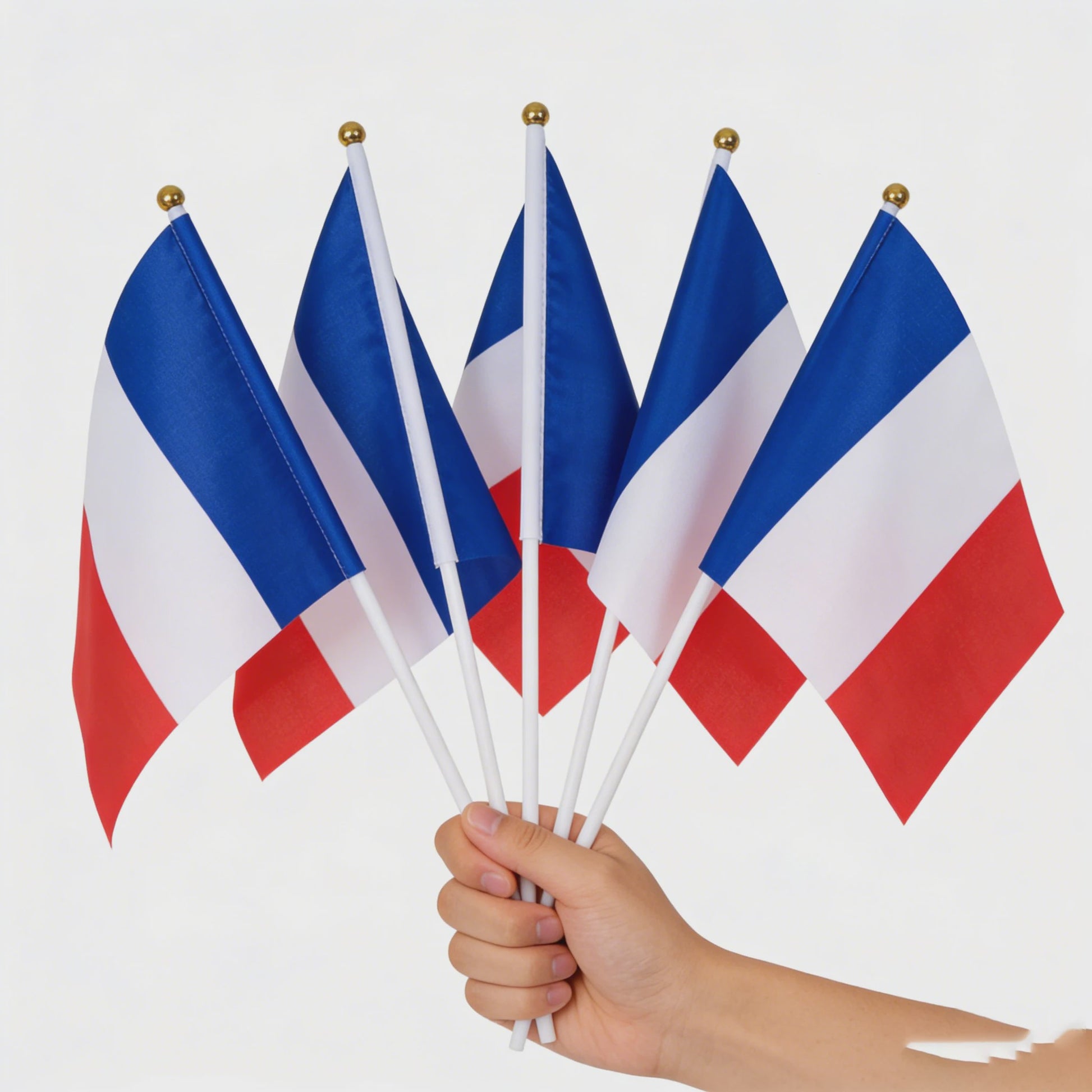 Franse Mini Vlaggetjes met Stokje - 14x21cm | Feest, Sport & Decoratie