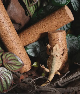 Natuurlijke Houten Klimtak voor Reptielen - Terrarium Decoratie & Speelgoed