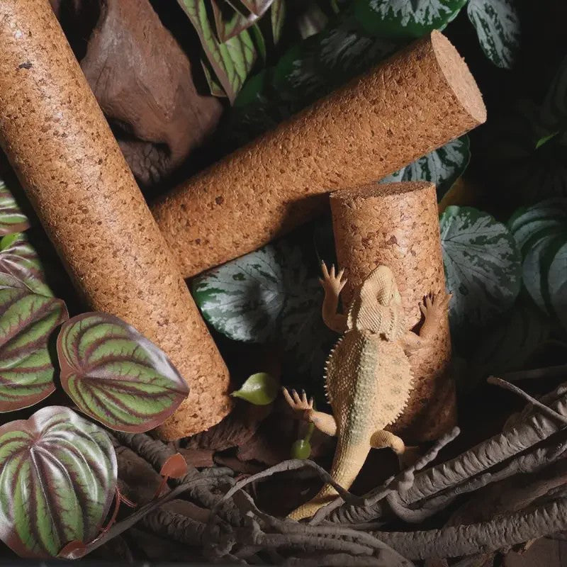 Natuurlijke Houten Klimtak voor Reptielen - Terrarium Decoratie & Speelgoed