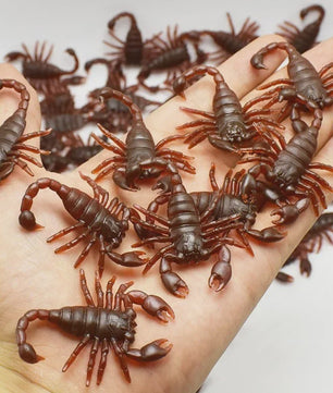 Nep Insecten Set: 50x Kakkerlakken, Duizendpoten & Schorpioenen - Griezelige Props voor Feestjes & Halloween