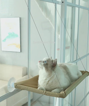 Hangmat voor Katten: Zonovergoten Raamzitje met Sterke Draagkracht