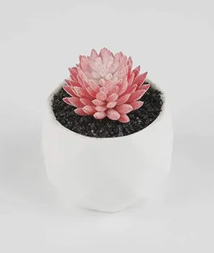 Set van 7 Kunstmatige Succulenten - Realistische Nep Plantjes voor Decoratie