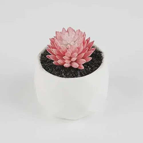 Set van 7 Kunstmatige Succulenten - Realistische Nep Plantjes voor Decoratie