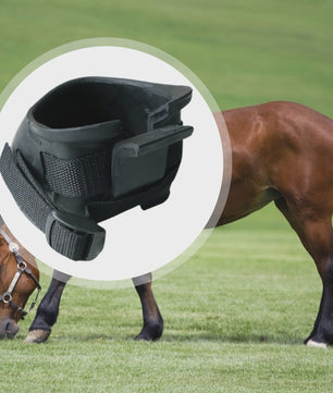 Duurzame Hoefschoenen voor Paarden - Bescherming bij Training en Rijden