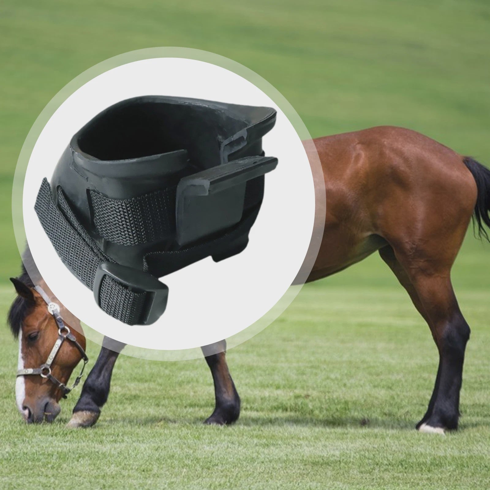Duurzame Hoefschoenen voor Paarden - Bescherming bij Training en Rijden