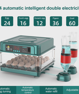 Automatische Broedmachine voor 9-48 Eieren met Constante Temperatuur & Automatische Keerfunctie