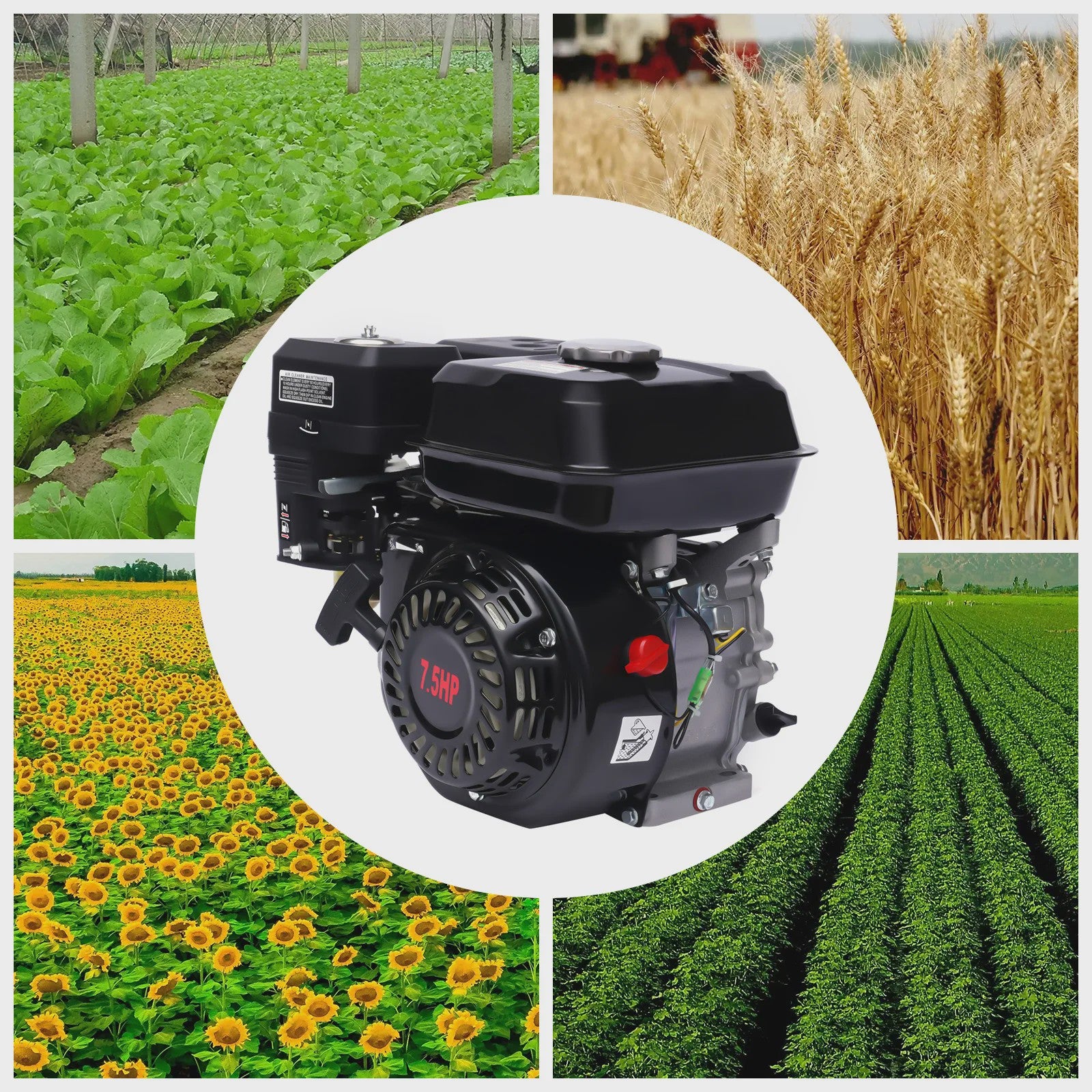 Krachtige Benzine Motor 7.5 PK - Slijtvast & Draagbaar voor Agrarisch Gebruik