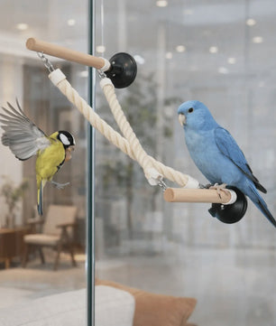 Vogel Speeltouw met Zuignap - Klimtouw, Schommel & Ladder voor Papegaaien en Vogels - Plezier & Verrijking