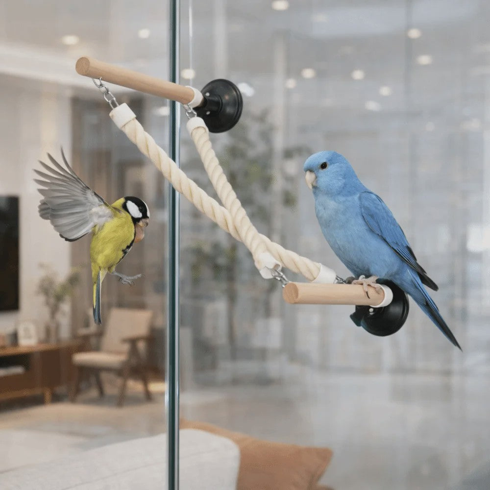 Vogel Speeltouw met Zuignap - Klimtouw, Schommel & Ladder voor Papegaaien en Vogels - Plezier & Verrijking