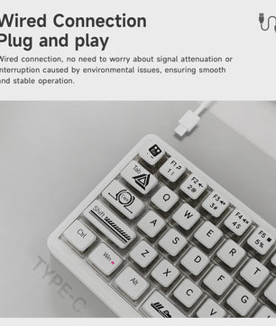 AJAZZ AK690 Mechanisch Gaming Toetsenbord - 68 Keys, Hot-Swap, USB, RGB Verlichting
