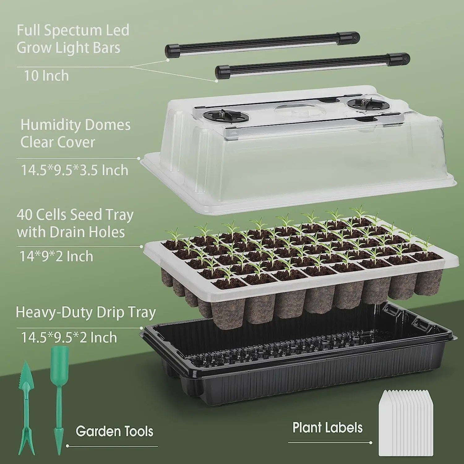 Kweekbak met 40 Cellen, Vochtdome en 2 LED Groeilampen - Complete Zaadstarter Kit