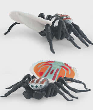 Montessori Levenscyclus Insecten Speelgoed: Spin, Duizendpoot, Schorpioen & Mier