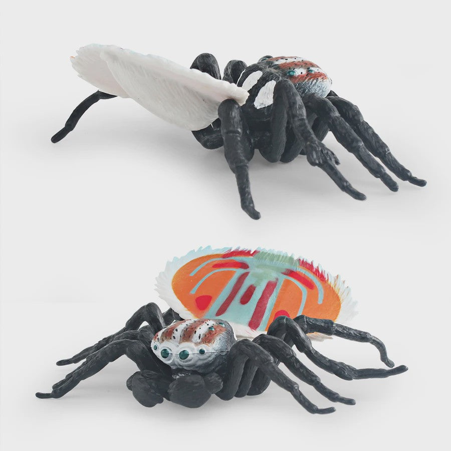 Montessori Levenscyclus Insecten Speelgoed: Spin, Duizendpoot, Schorpioen & Mier