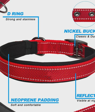 Veilige Hondenhalsband met Reflecterende Strepen - Ontsnappingsbestendig Nylon, Zachte Vulling & Snel-Sluiting