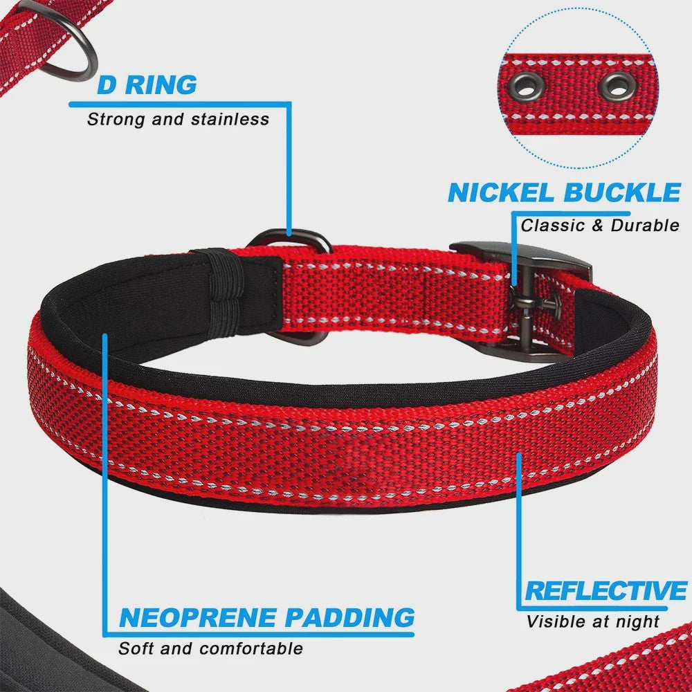 Veilige Hondenhalsband met Reflecterende Strepen - Ontsnappingsbestendig Nylon, Zachte Vulling & Snel-Sluiting