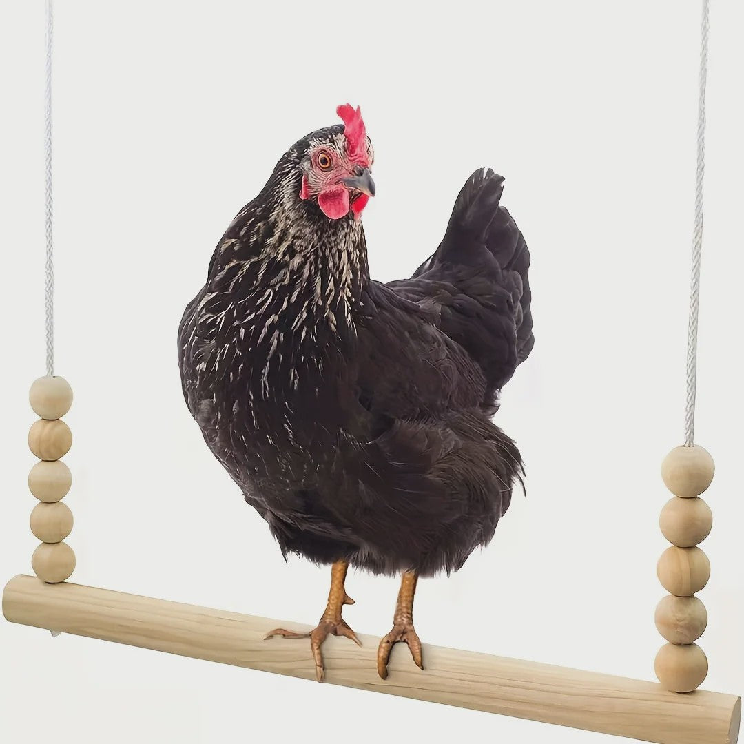 Houten Kip Schommel met Kralen - Klim- en Speeltoestel voor Kippen & Vogels
