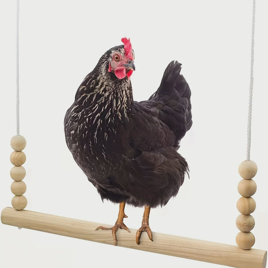 Houten Kip Schommel met Kralen - Klim- en Speeltoestel voor Kippen & Vogels