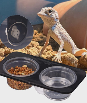 Voerbakje met Zuignap voor Reptielen en Amfibieën - Voer & Water Dispenser