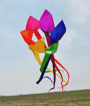 Grote 6 Meter 3D Regenboog Vlieger - Krachtige Outdoor Speelgoed Vlieger voor Plezier