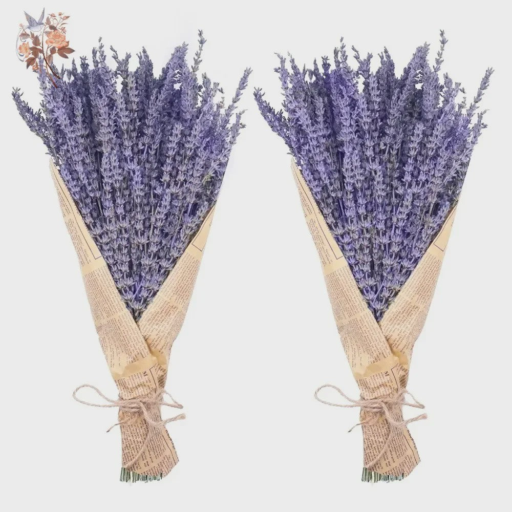 Natuurlijke Gedroogde Lavendel Bundels (50/100 Stuks) - Decoratie & Aromatherapie