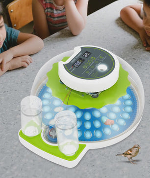 Automatische Broedmachine voor 60 Eieren met Temperatuurregeling en Watertoevoer