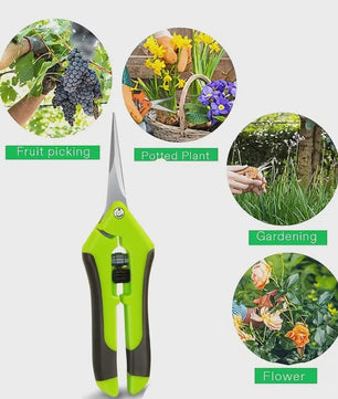 Scherpe Snoeischaar voor Tuinieren, Bonsai & Fruit Plukken - Ergonomisch Ontwerp