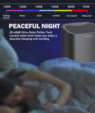 Compacte Luchtontvochtiger 1000ML - Stille Werking, Ideaal voor Huis, Slaapkamer, Kantoor