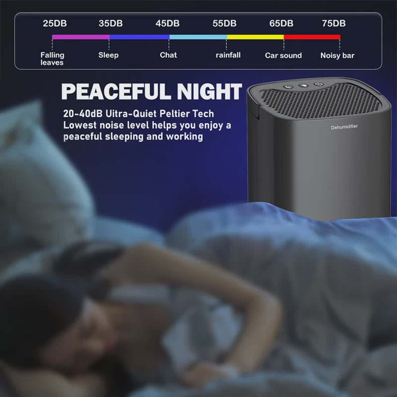 Compacte Luchtontvochtiger 1000ML - Stille Werking, Ideaal voor Huis, Slaapkamer, Kantoor