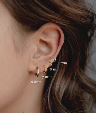 Roestvrijstalen Hoops Oorbellen - Goudkleurig, Zilver, Zwart & Regenboog - Unisex