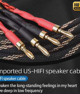 High-End Hifi Luidsprekerkabel - 6N OFC Koper, Vergulde Banana/Y-stekkers