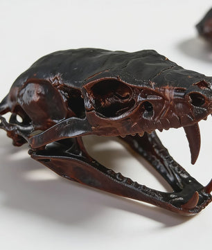 Angstaanjagend Cobra Schedel Standbeeld - Uniek Woondecoratie & Desktop Ornament