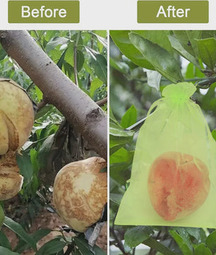 Beschermnetten voor Fruit en Planten - Tegen Vogels, Insecten en Schade (10-200 Stuks)