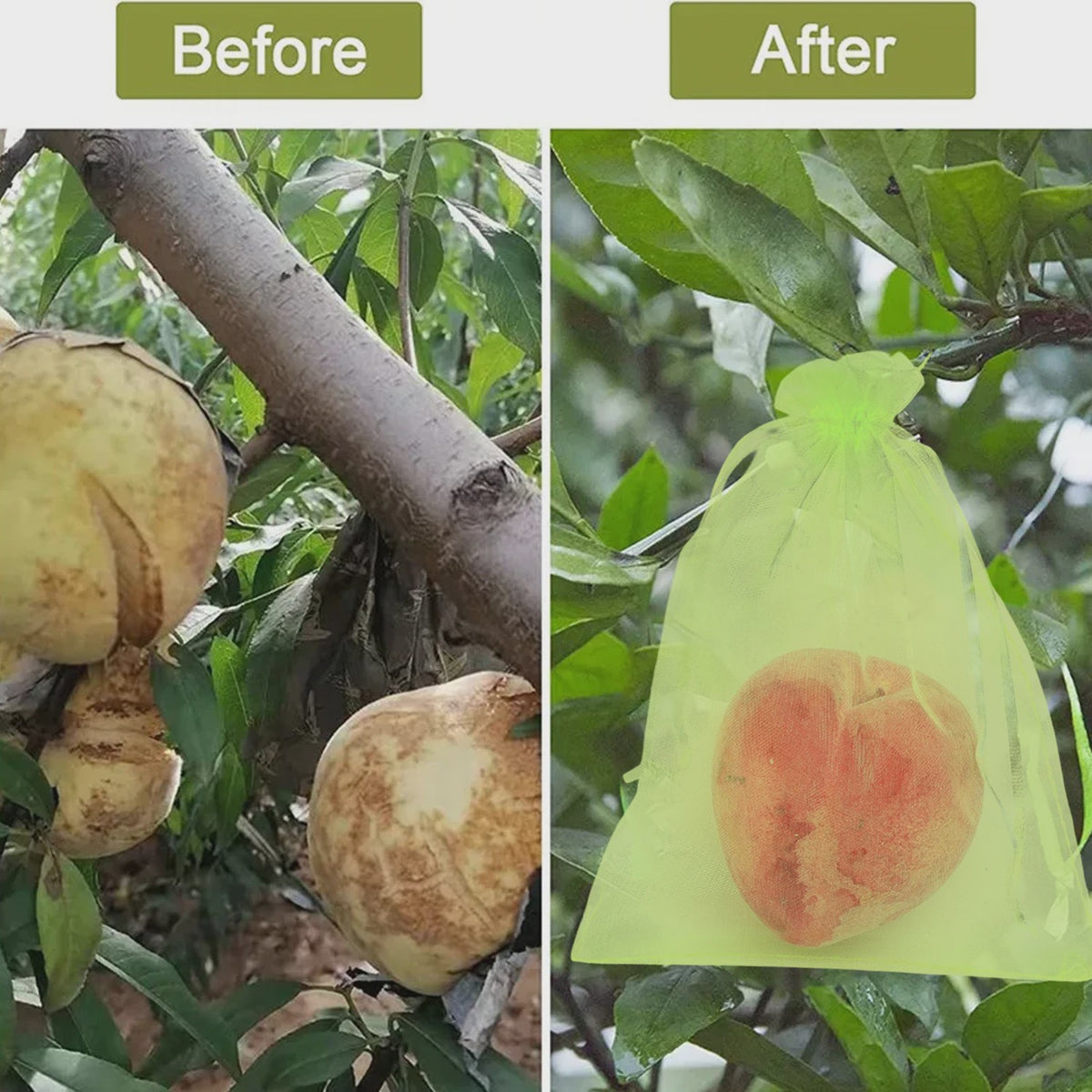 Beschermnetten voor Fruit en Planten - Tegen Vogels, Insecten en Schade (10-200 Stuks)