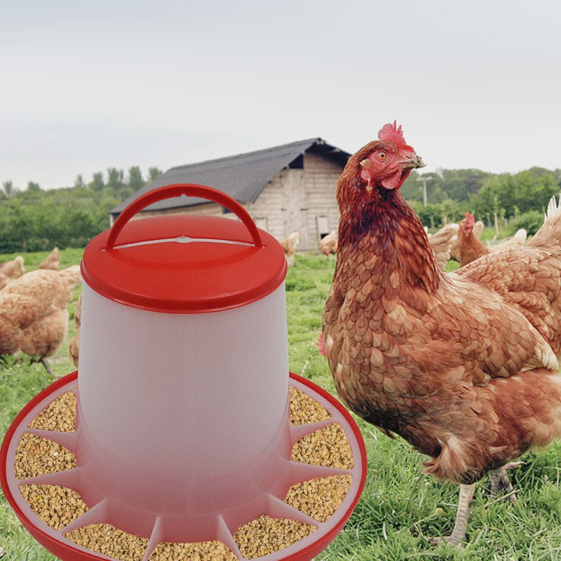 Automatische Kip Voerbak 1.5kg tot 12kg - Kippen, Duiven, Kwartels Voederstation