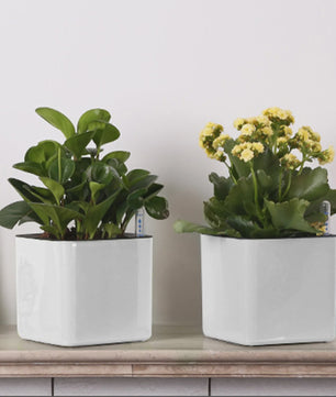 Self Watering Planter Self-watering Pot with Water Level Indicator White Self Watering Planter Modern Decorative Planter Pot