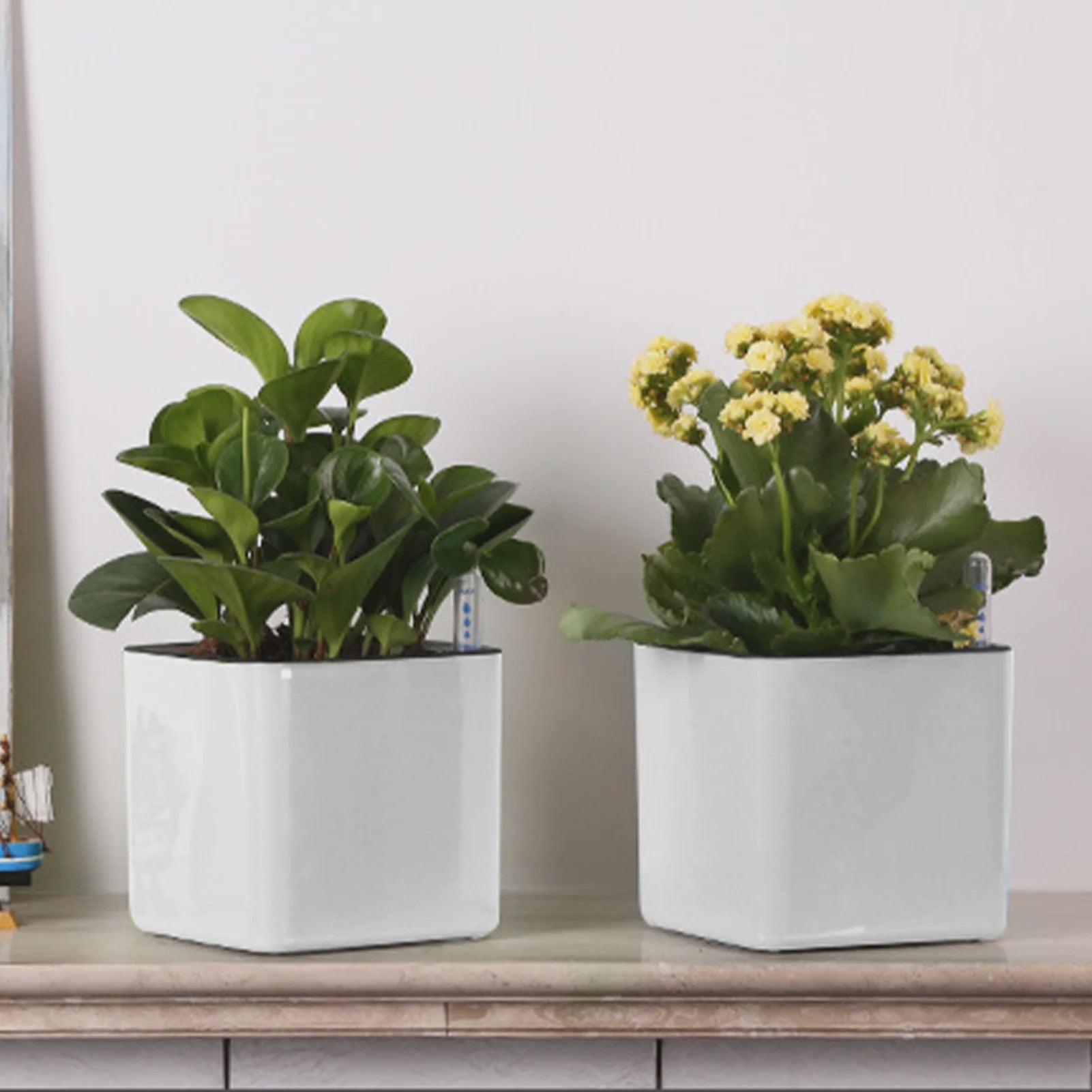 Self Watering Planter Self-watering Pot with Water Level Indicator White Self Watering Planter Modern Decorative Planter Pot