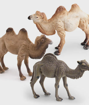 Realistische Dromedaris & Baktriaanse Kameel Figuren - Desktop Ornament