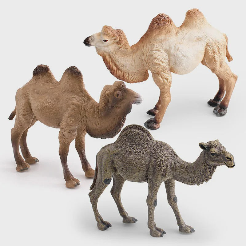Realistische Dromedaris & Baktriaanse Kameel Figuren - Desktop Ornament