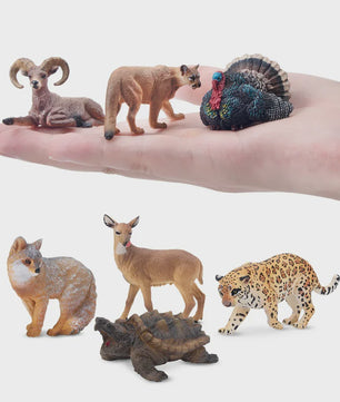 Toymany Noord-Amerikaanse Dieren Speelgoedset - 14 Realistische Mini Figuren