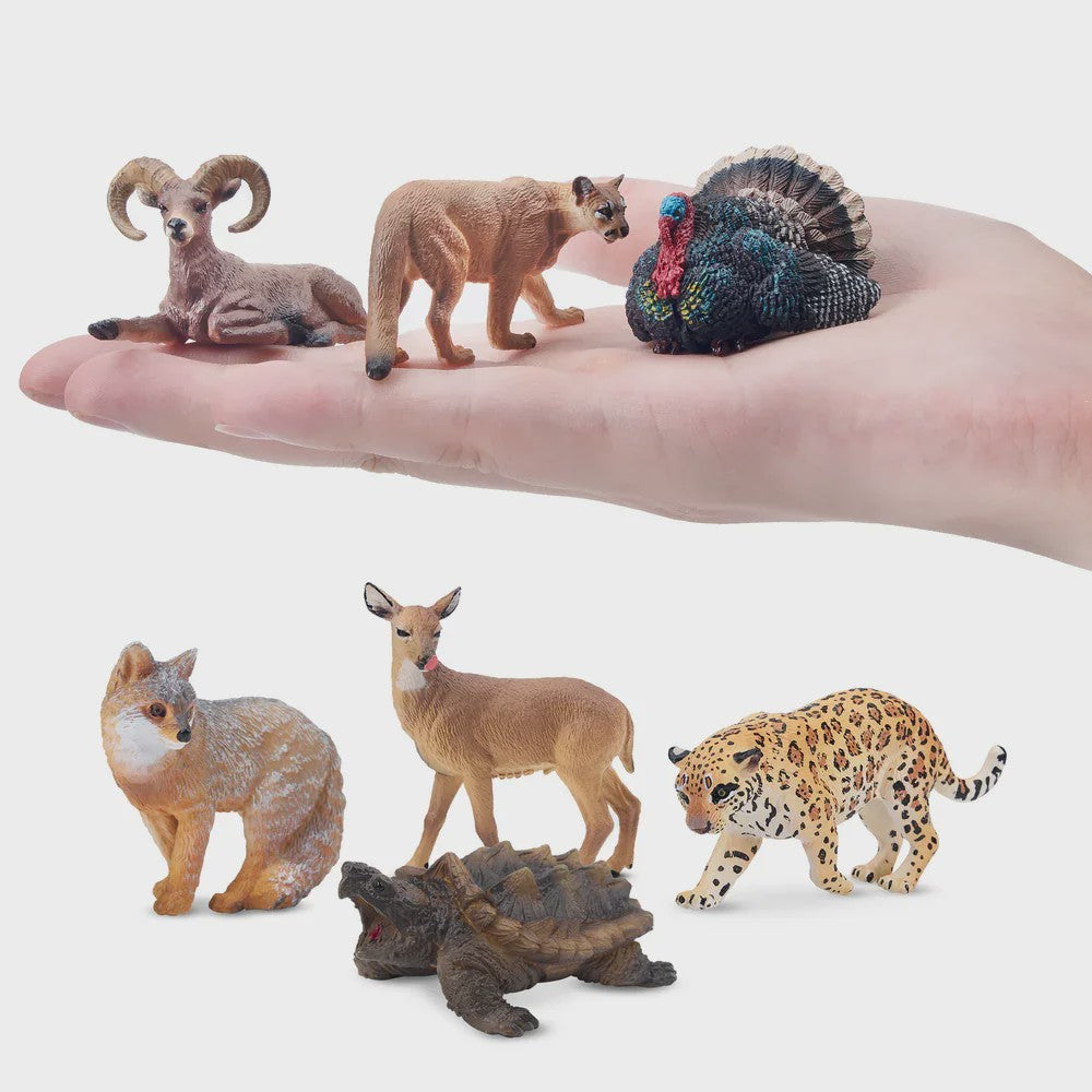Toymany Noord-Amerikaanse Dieren Speelgoedset - 14 Realistische Mini Figuren