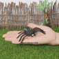 Montessori Levenscyclus Insecten Speelgoed: Spin, Duizendpoot, Schorpioen & Mier