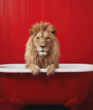 Grappige Dieren Poster Set - Kangoeroe, Nijlpaard, Olifant in Bad - Canvas Muurdecoratie