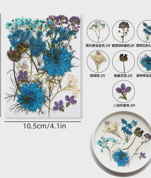 Set Gedroogde Bloemen & Bladeren (16-19 Stuks) - Natuurlijk & Realistisch