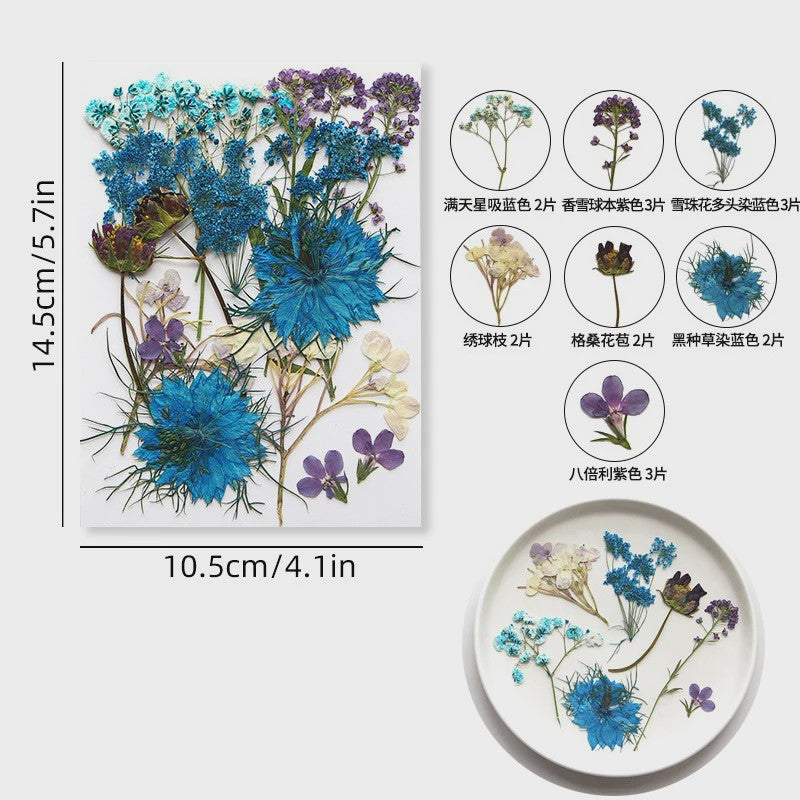 Set Gedroogde Bloemen & Bladeren (16-19 Stuks) - Natuurlijk & Realistisch