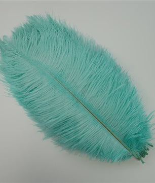 Set van 10 Gekleurde Struisvogelveren voor Knutselen, Decoratie en Feesten