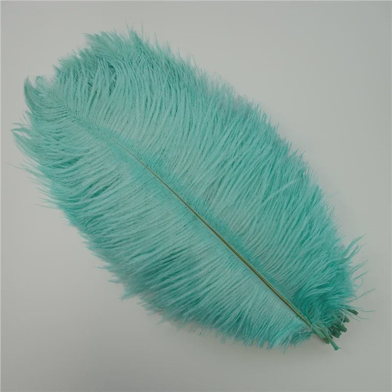 Set van 10 Gekleurde Struisvogelveren voor Knutselen, Decoratie en Feesten