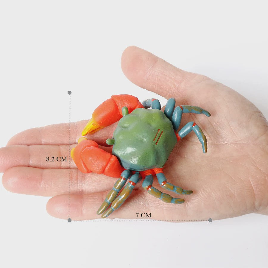 Educatieve Prehistorische Zeedieren Figuren Set: Baculite, Opabinia, Krab & Meer