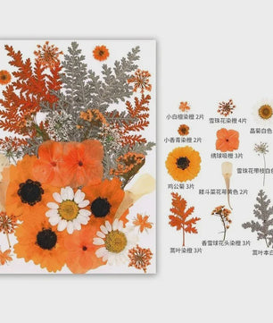 30 Stuks Gedroogde Persbloemen - Natuurlijke Bloemen & Bladeren voor Resin Art, Knutselen en Decoratie