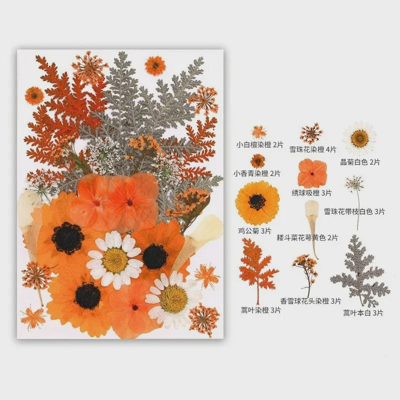 30 Stuks Gedroogde Persbloemen - Natuurlijke Bloemen & Bladeren voor Resin Art, Knutselen en Decoratie