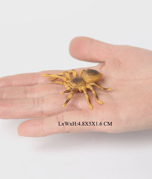 Realistische Insecten & Slakken Modellen - Educatief Speelgoed, Verzamelen & Decoratie